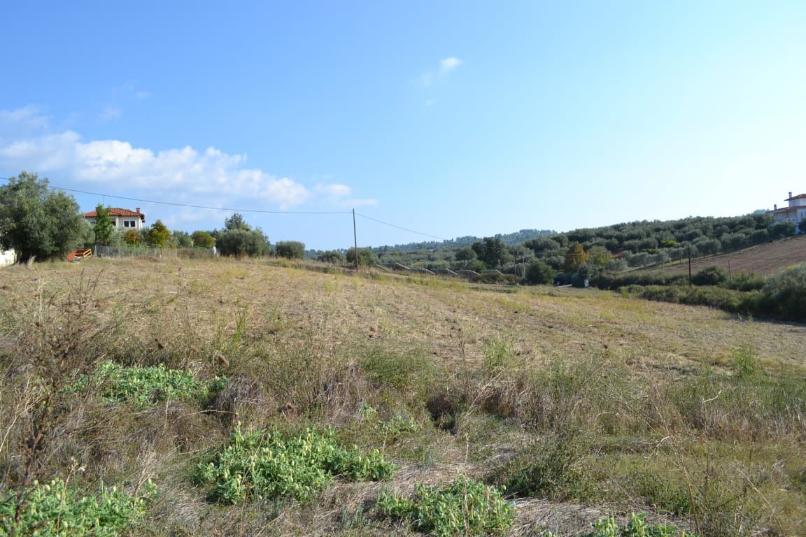 For Sale Land 2000 m² in Kassandra, Chalkidiki