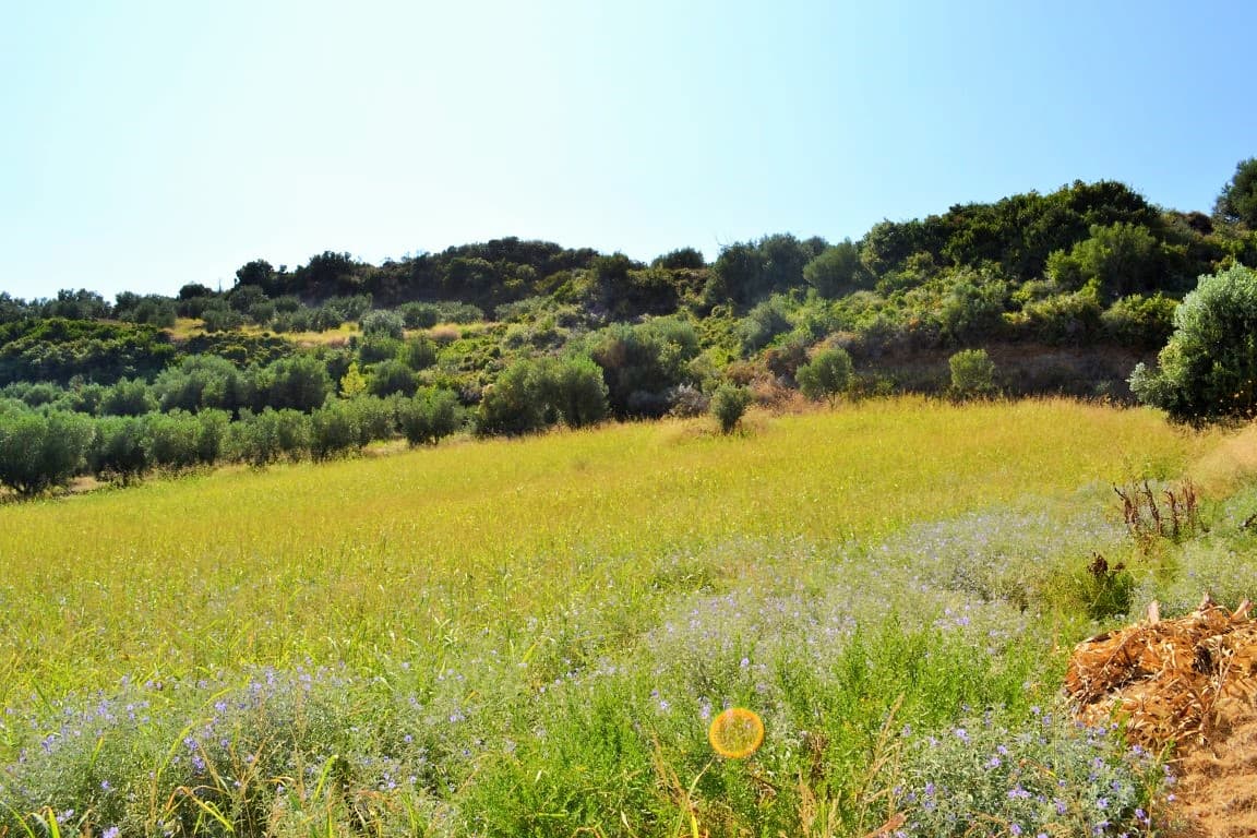 For Sale Land 4000 m² in Kassandra, Chalkidiki