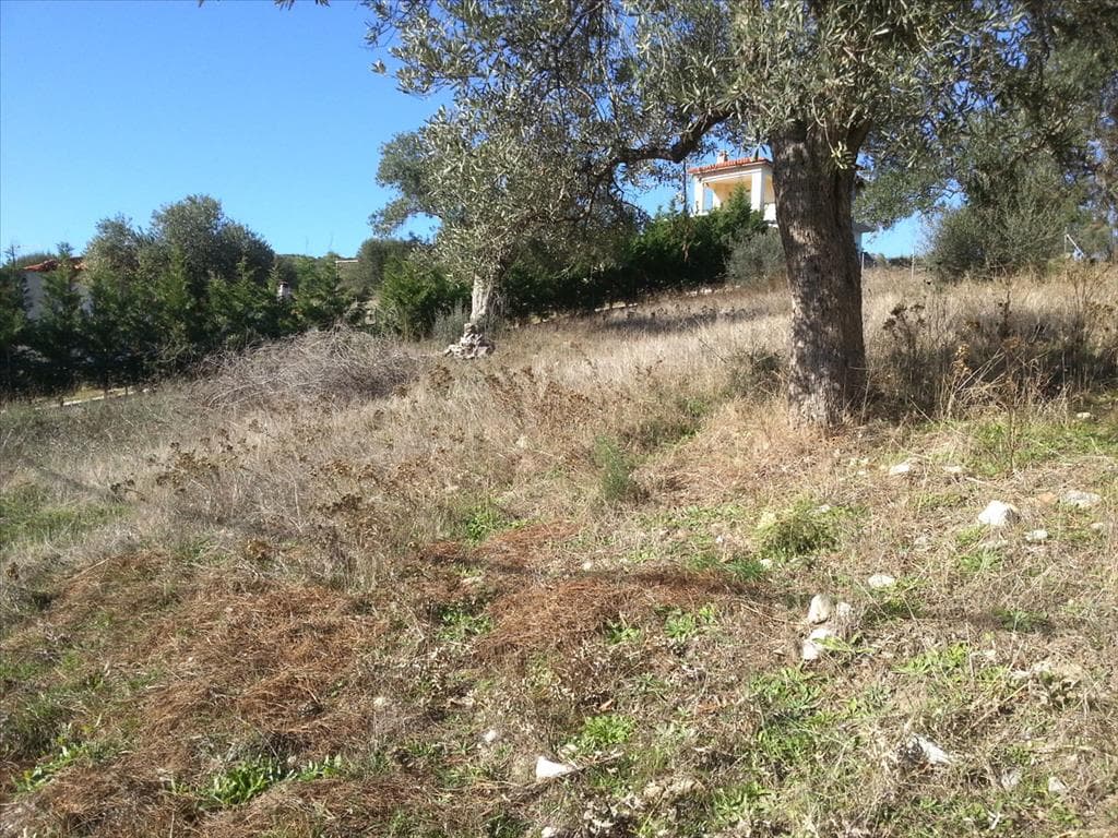Building Plot of 1830 m² in Sithonia, Chalkidiki