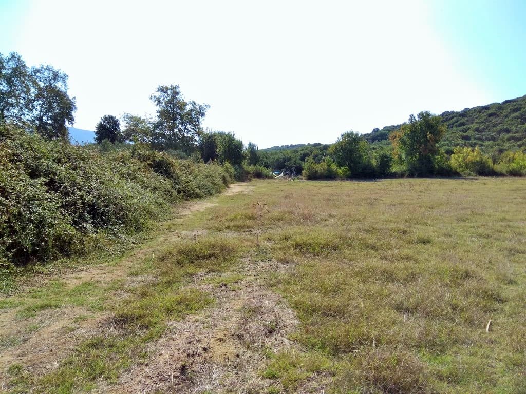For Sale Land 6886 m² in Athos, Chalkidiki