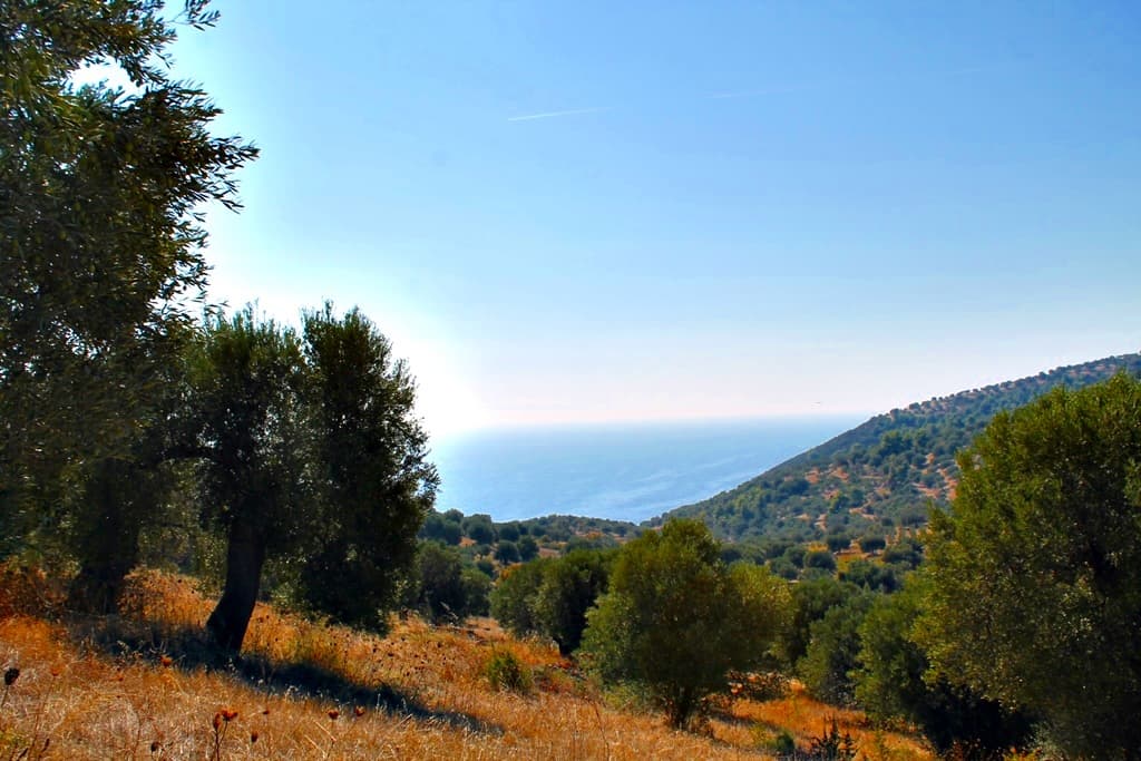 For Sale Land 20000 m² in Kassandra, Chalkidiki