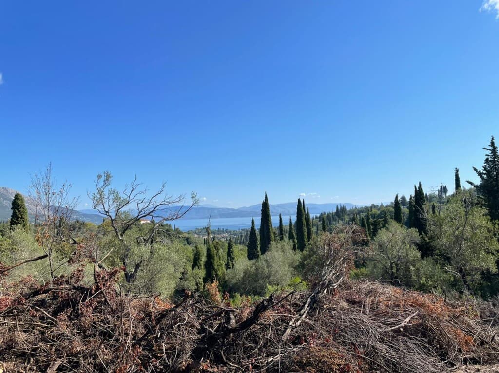 For Sale Land 4100 m² in Corfu