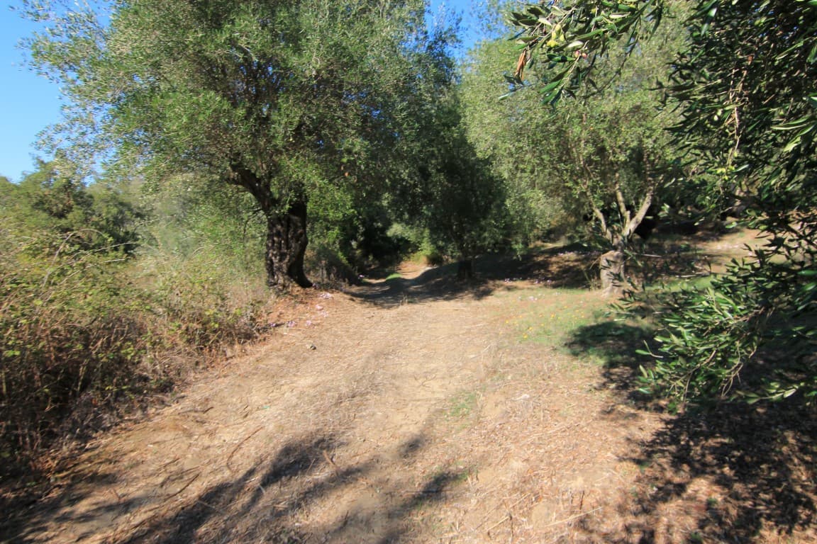 For Sale Land 5000 m² in Corfu