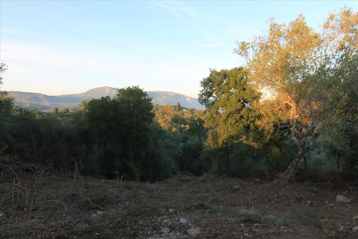 For Sale Land 5740 m² in Corfu