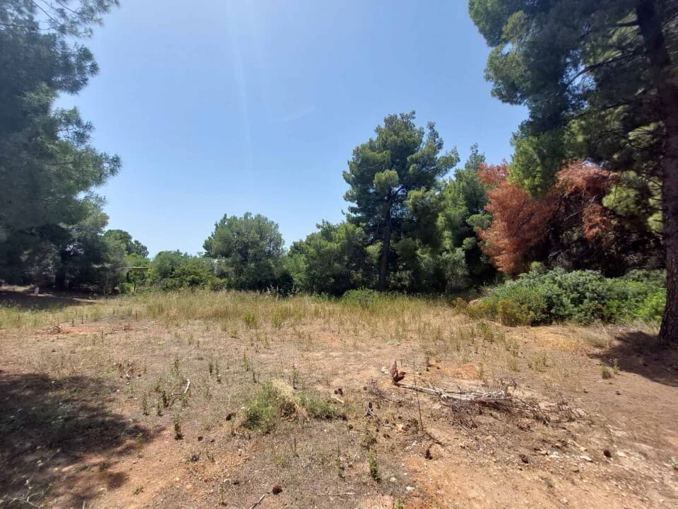 For Sale Land 1140 m² in Sithonia, Chalkidiki