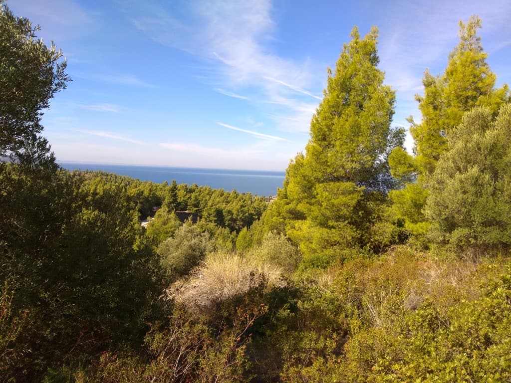 For Sale Land 7250 m² in Sithonia, Chalkidiki