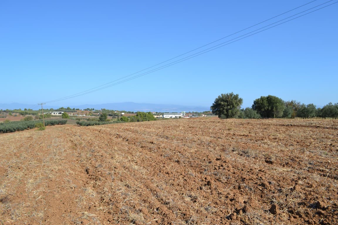 For Sale Land 20000 m² in Kassandra, Chalkidiki