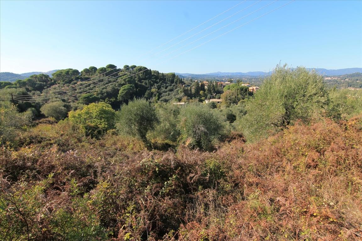 For Sale Land 6000 m² in Corfu