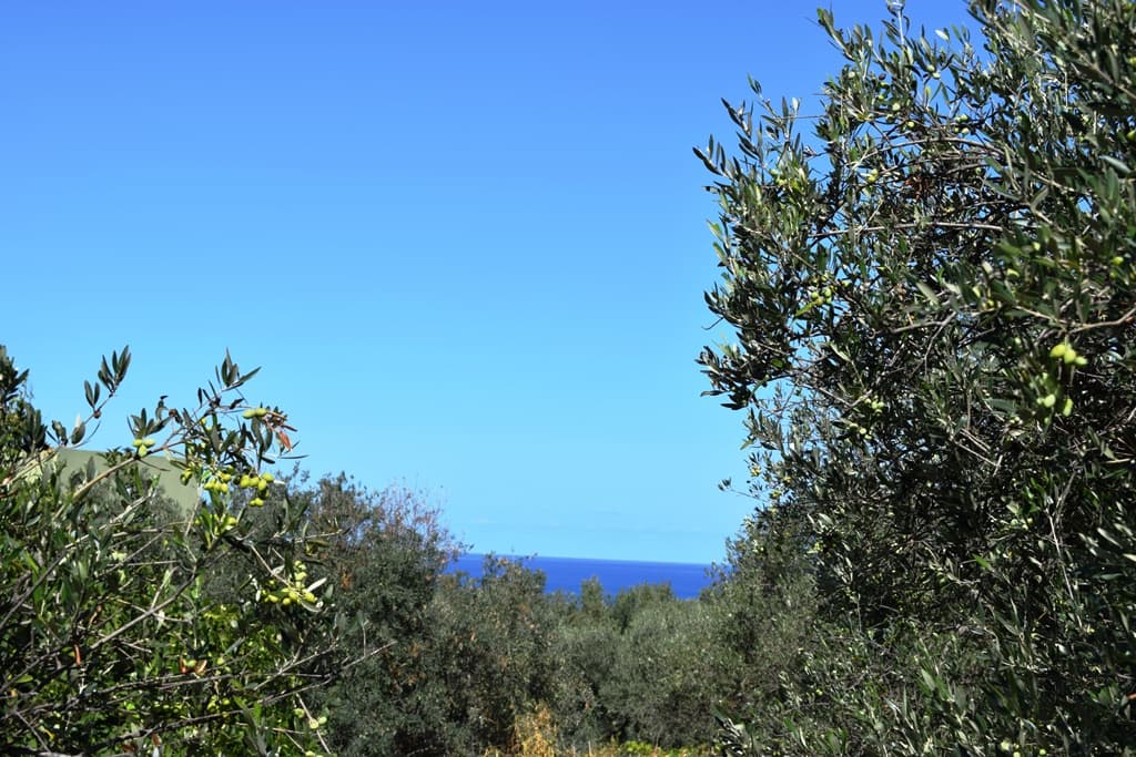For Sale Land 2010 m² in Crete