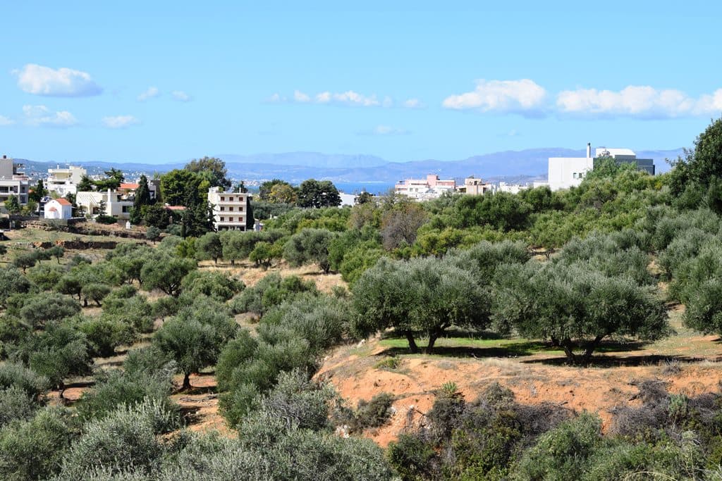For Sale Land 9848 m² in Crete