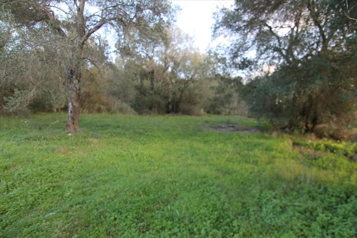 For Sale Land 2500 m² in Corfu
