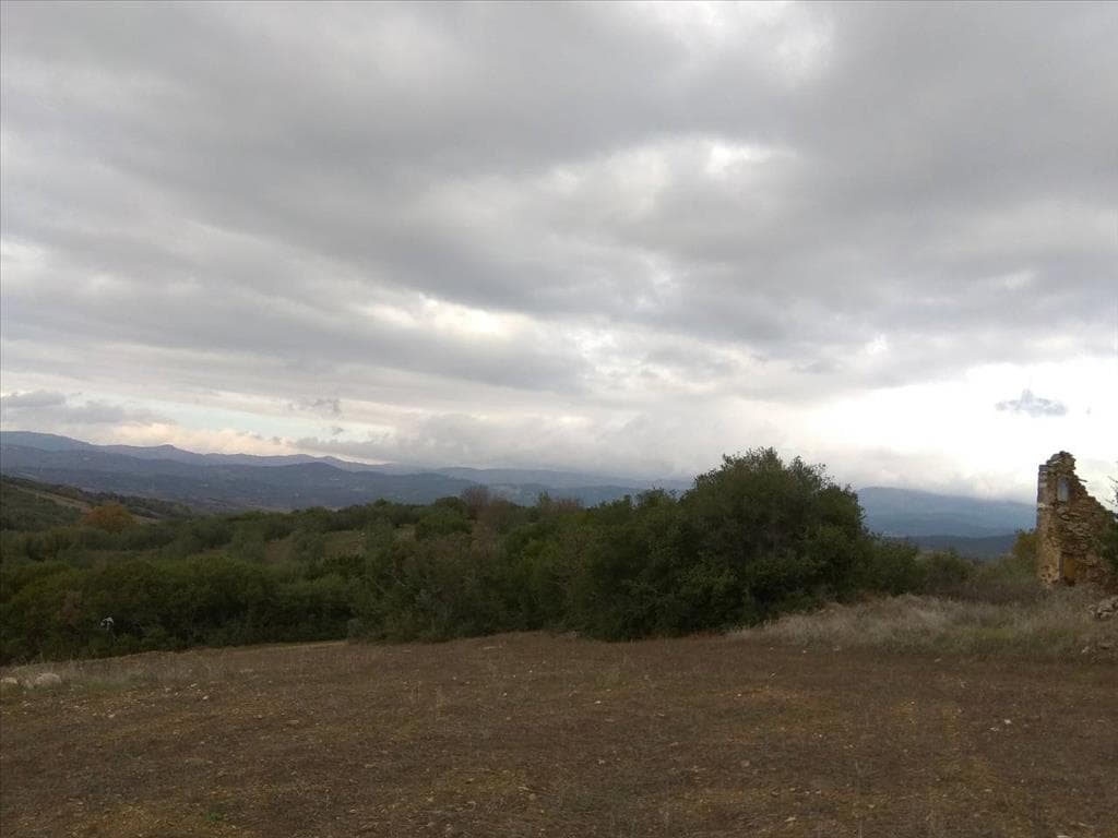 For Sale Land 13000 m² in Athos, Chalkidiki