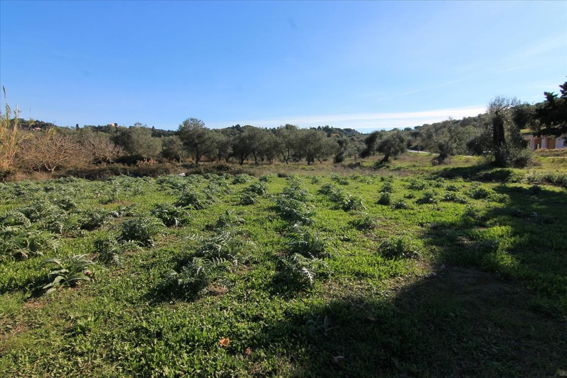 For Sale Land 1250 m² in Corfu
