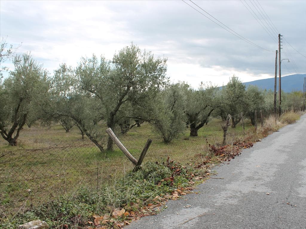For Sale Land 4000 m² on the Olympic Coast