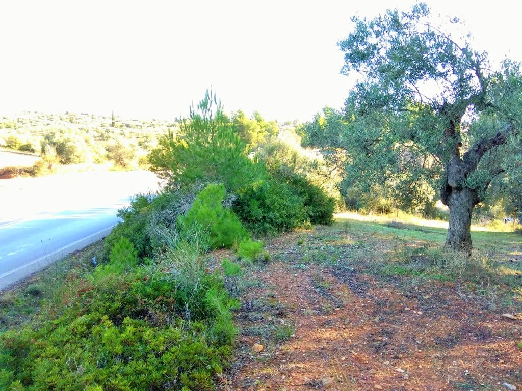 For Sale Land 1300 m² in Sithonia, Chalkidiki