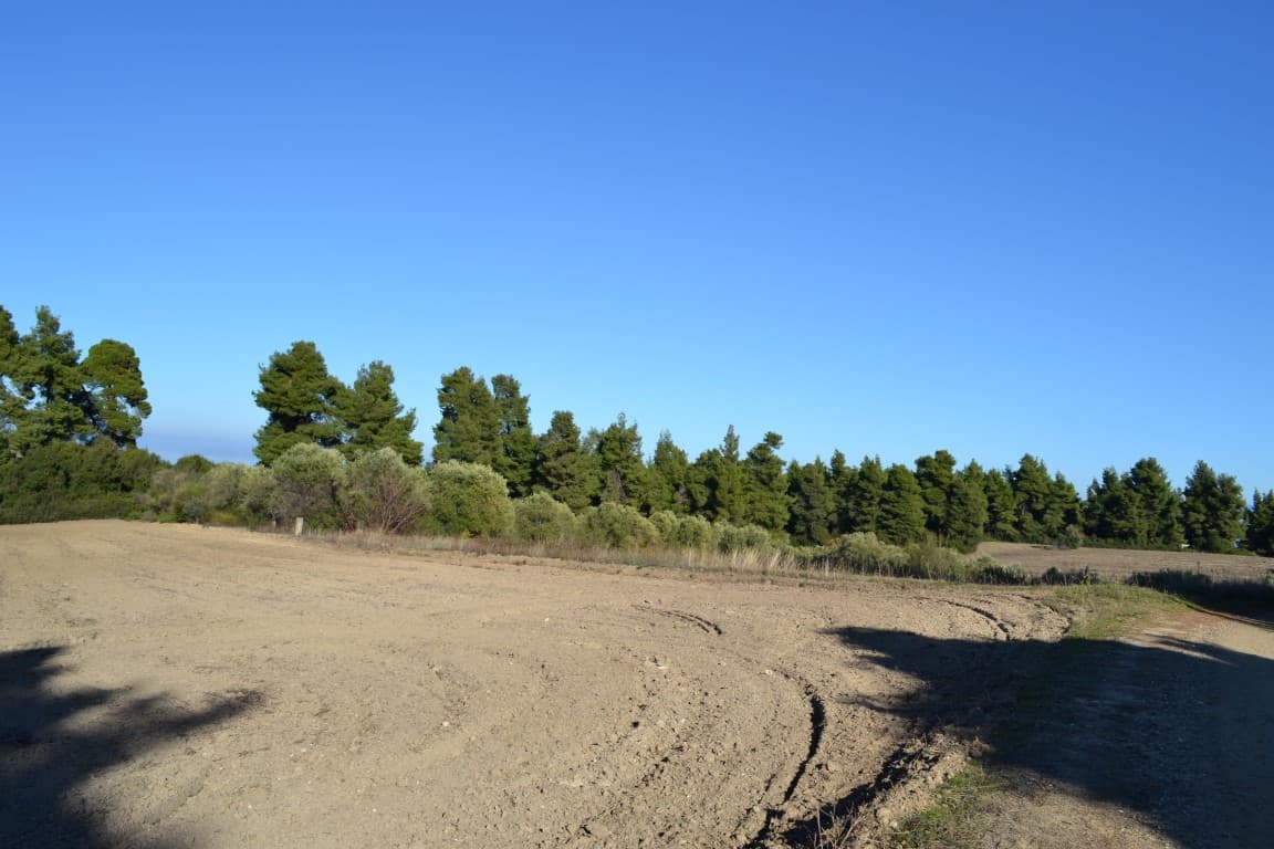 For Sale Land 4319 m² in Kassandra, Chalkidiki