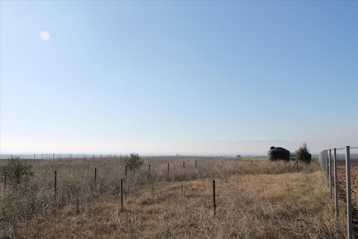 For Sale Land 6441 m² in the suburbs of Thessaloniki