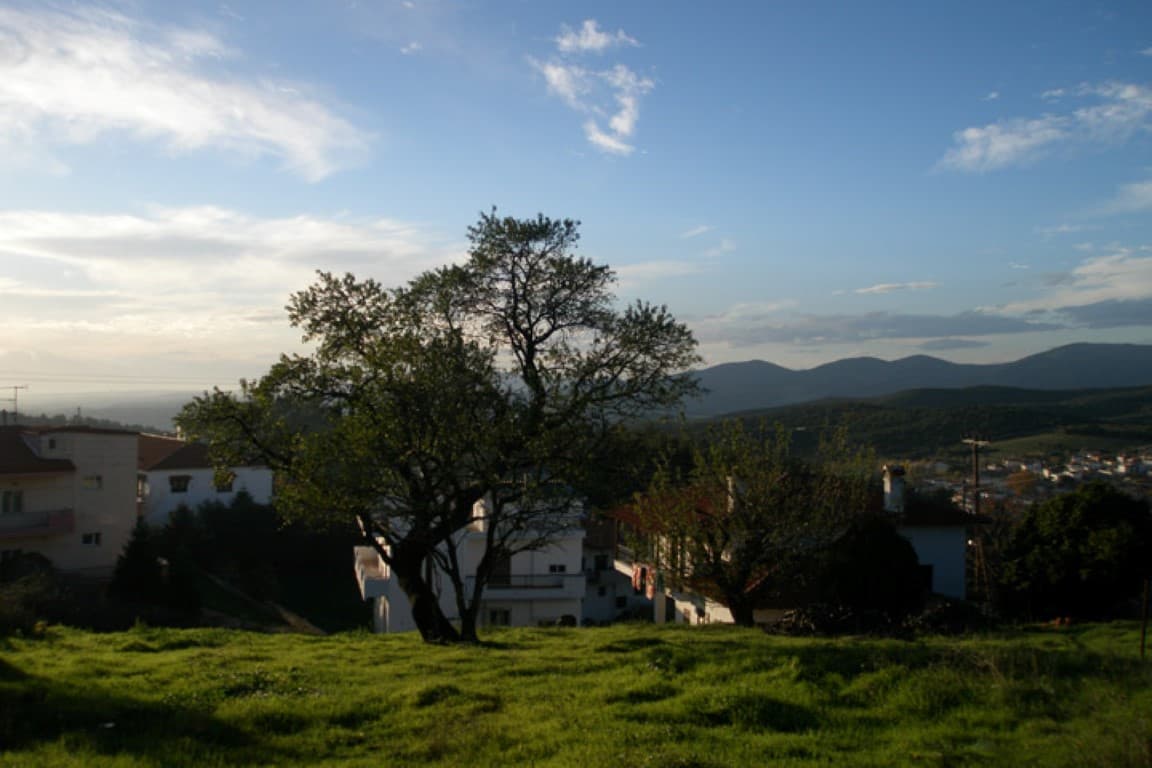 For Sale Land 947 m² in Chalkidiki