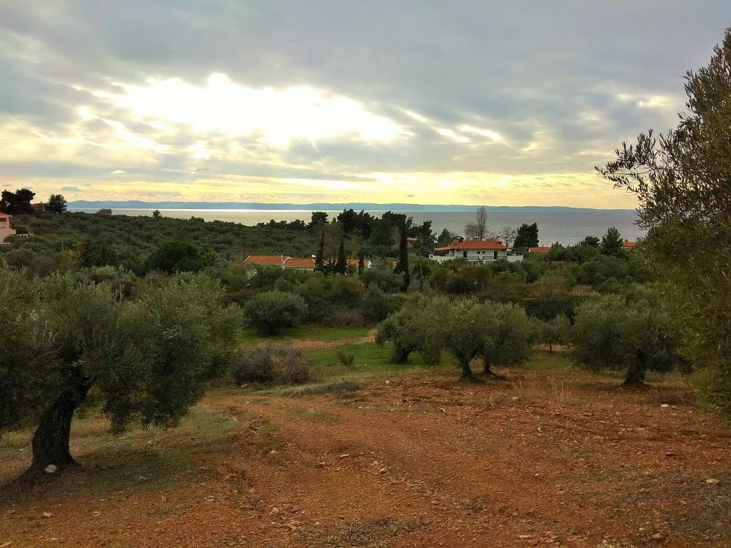 For Sale Land 6460 m² in Sithonia, Chalkidiki