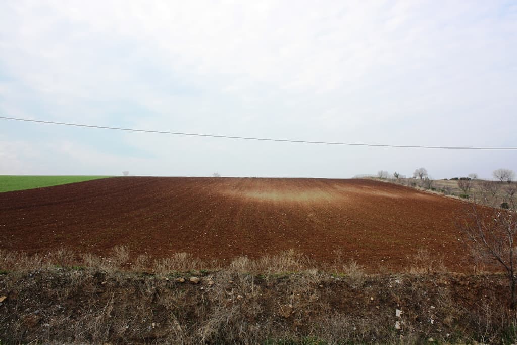 For Sale Land 11500 m² in the suburbs of Thessaloniki