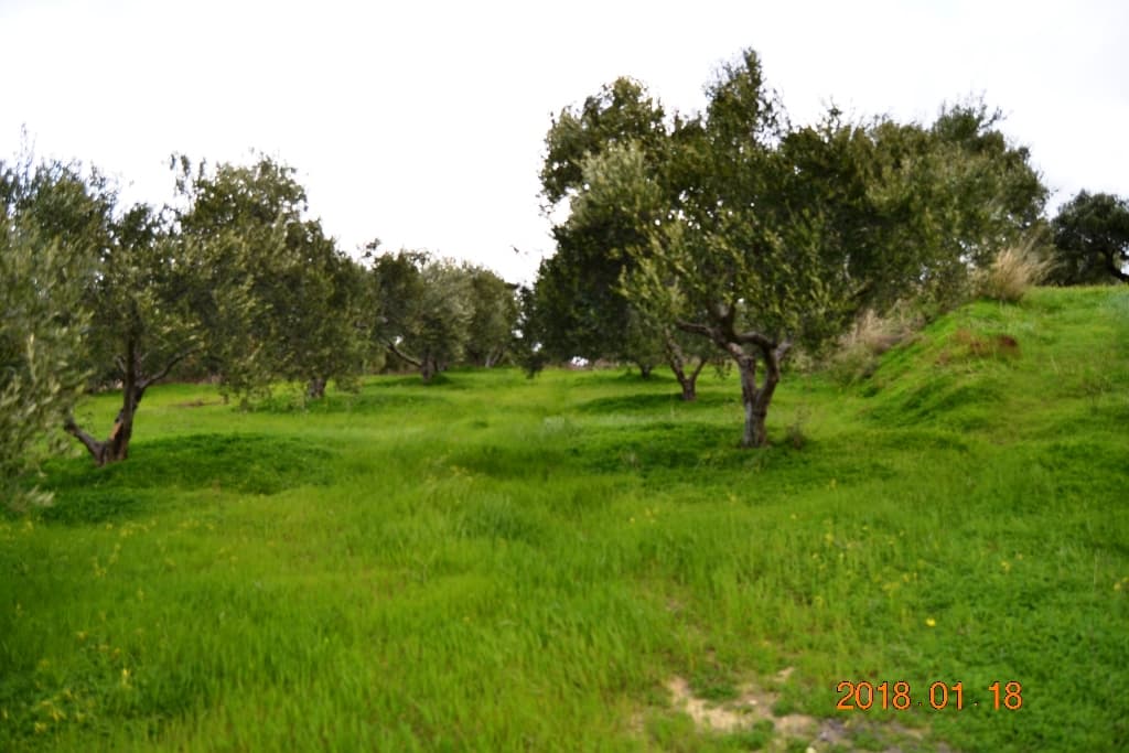 For Sale Land 2240 m² in Crete