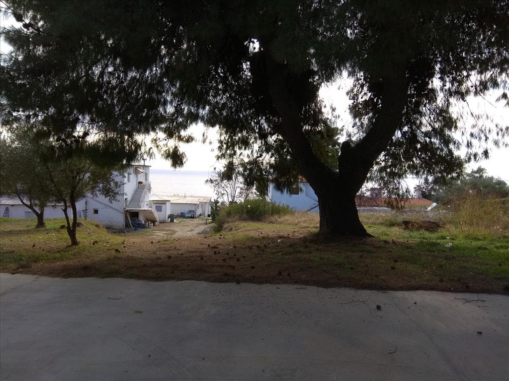 For Sale Land 900 m² in Sithonia, Chalkidiki