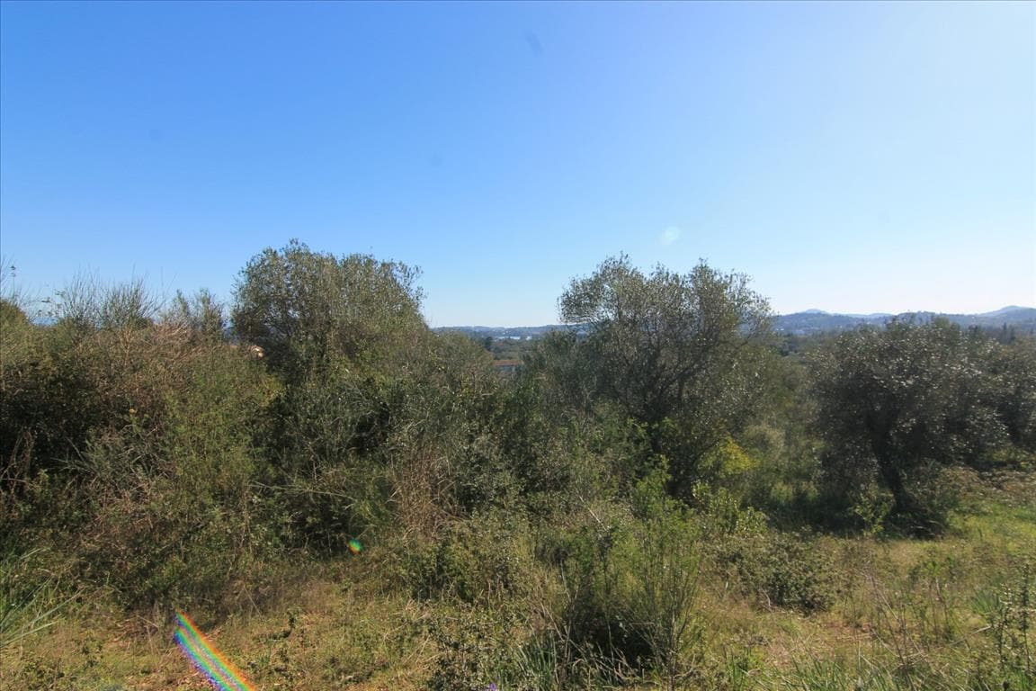 For Sale Land 4131 m² in Corfu