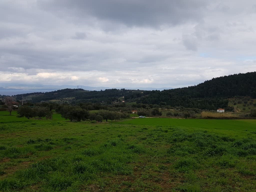 For Sale Land 5000 m² in Kassandra, Chalkidiki