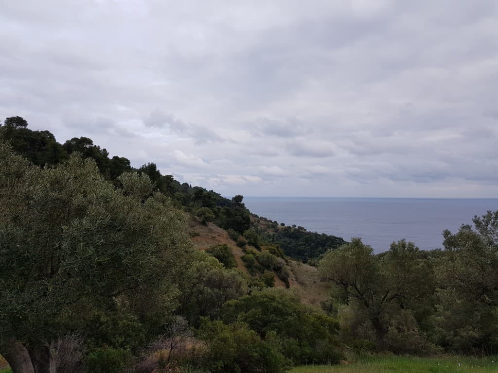 For Sale Land 6000 m² in Kassandra, Chalkidiki