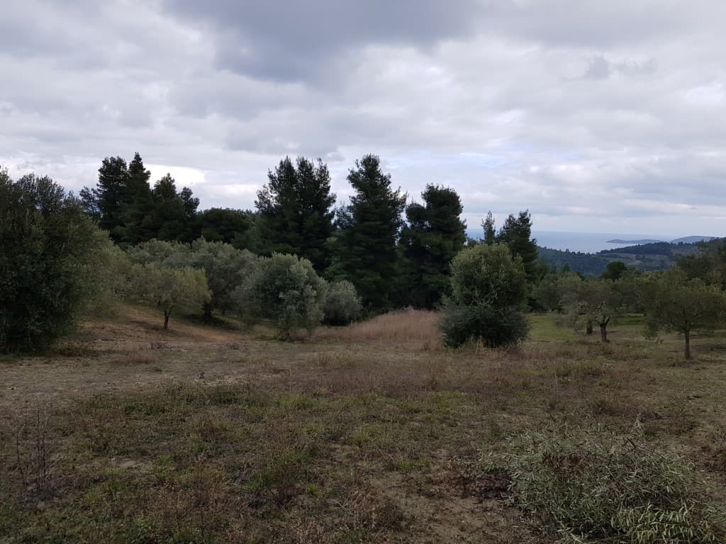 For Sale Land 4143 m² in Kassandra, Chalkidiki