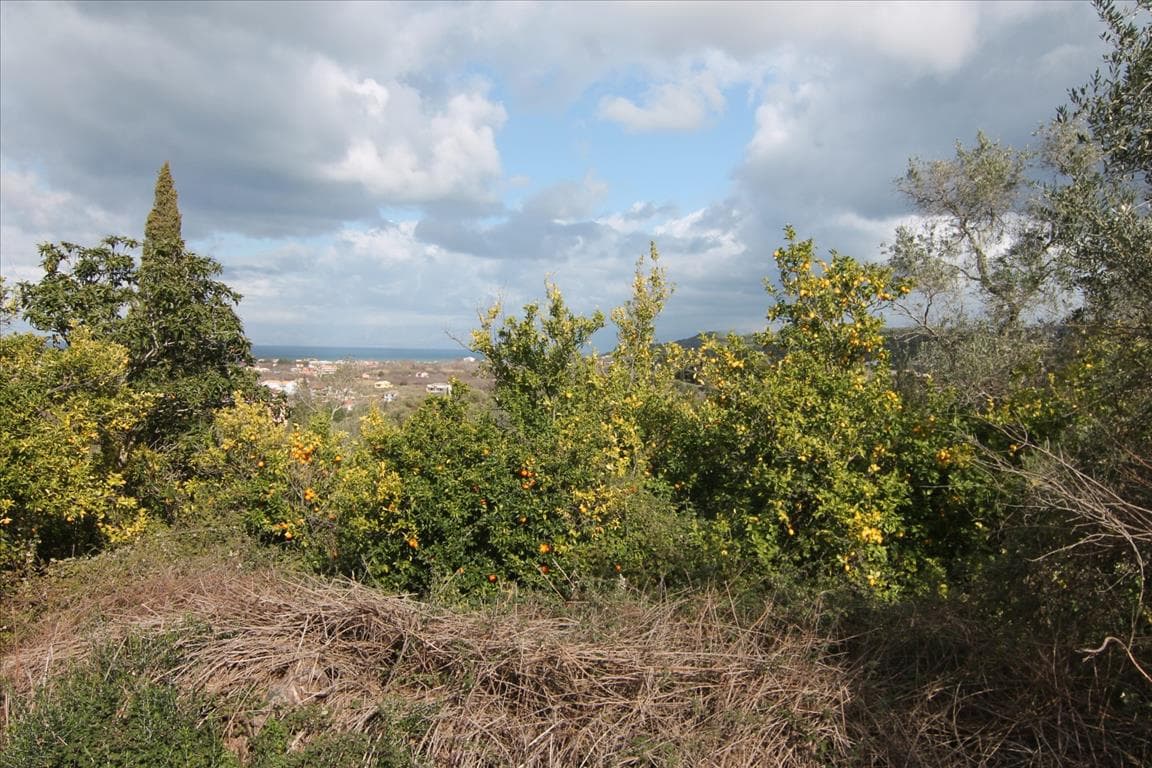 For Sale Land 6135 m² in Corfu