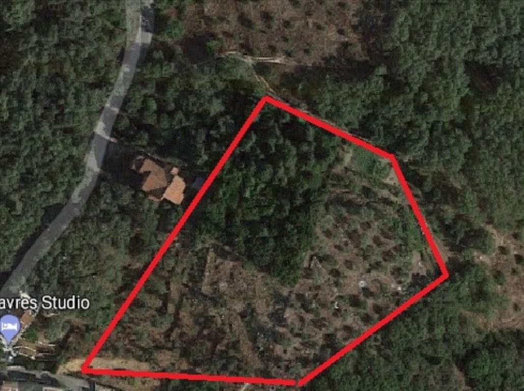 For Sale Land 3649 m² in Corfu