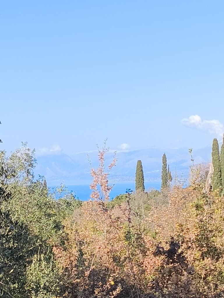 Spacious 5015 m² Land Plot in Corfu