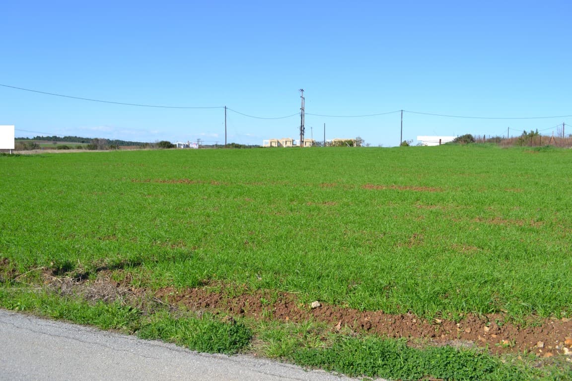 For Sale Land 6700 m² in Kassandra, Chalkidiki