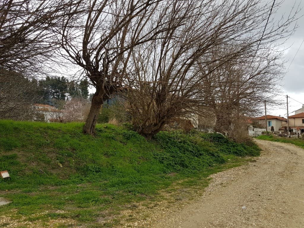For Sale Land 846 m² in Kassandra, Chalkidiki