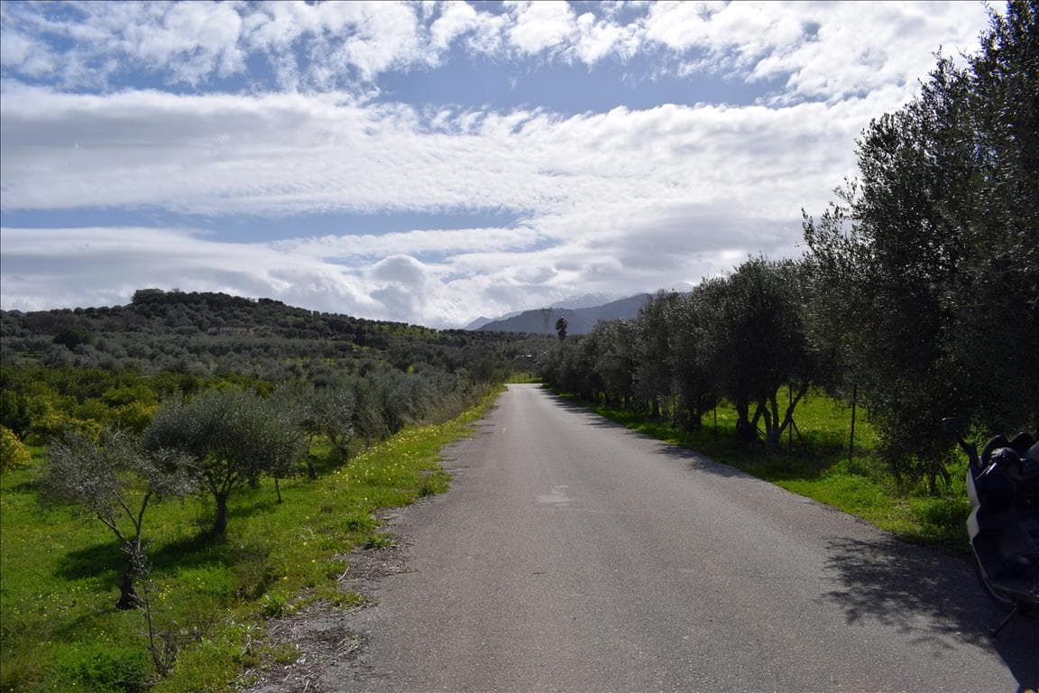 For Sale Land 11000 m² in Crete