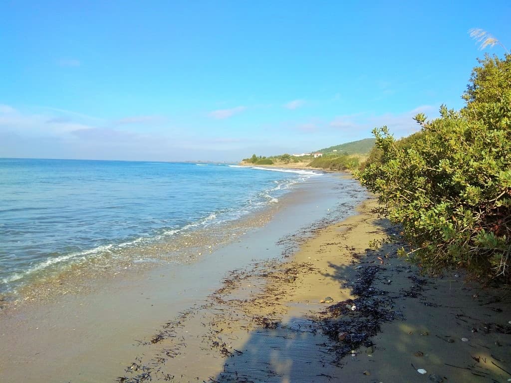 For Sale Land 100058 m² in Sithonia, Chalkidiki