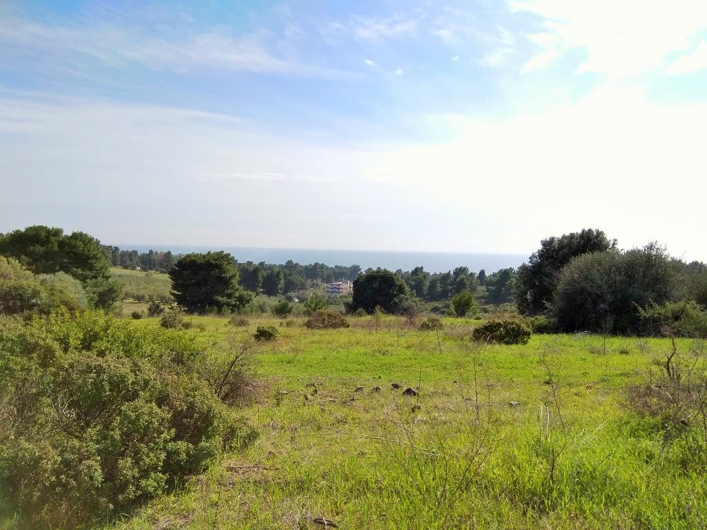 For Sale Land 5300 m² in Sithonia, Chalkidiki