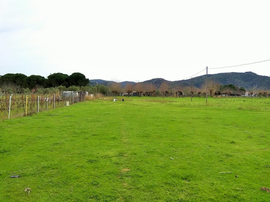 For Sale Land 2650 m² in Sithonia, Chalkidiki