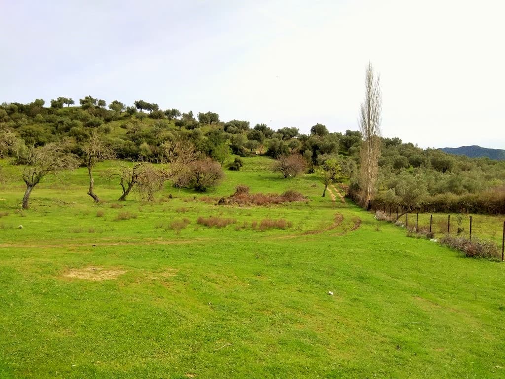 For Sale Land 3300 m² in Sithonia, Chalkidiki
