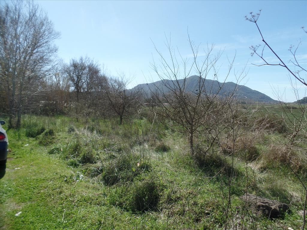 For Sale Land 4000 m² in Corfu