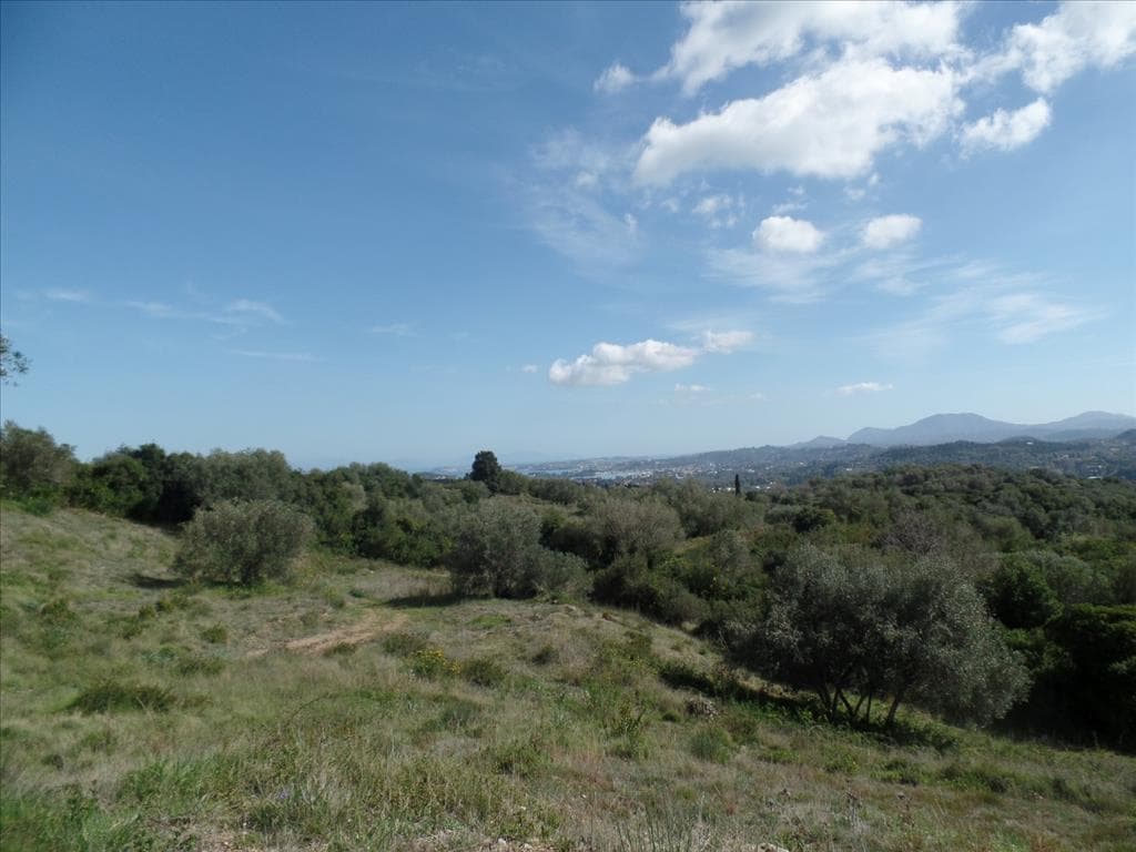 For Sale Land 6912 m² in Corfu