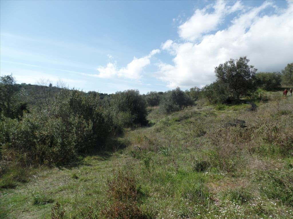 For Sale Land 4536 m² in Corfu