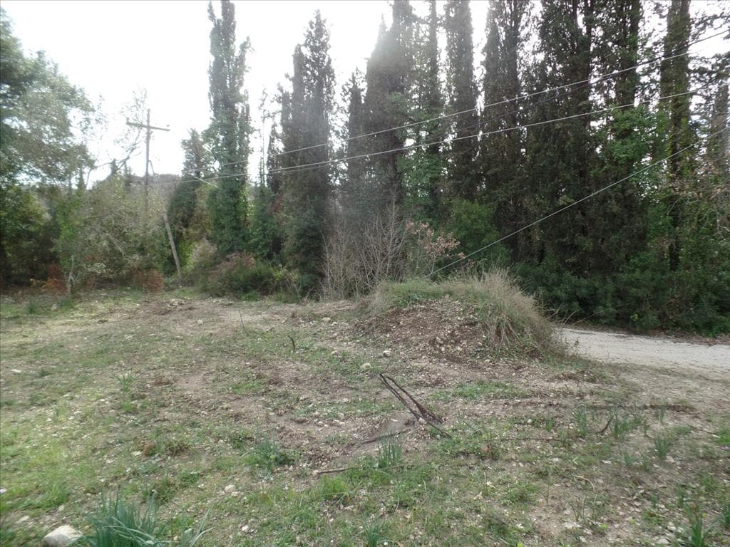 For Sale Land 35000 m² in Corfu