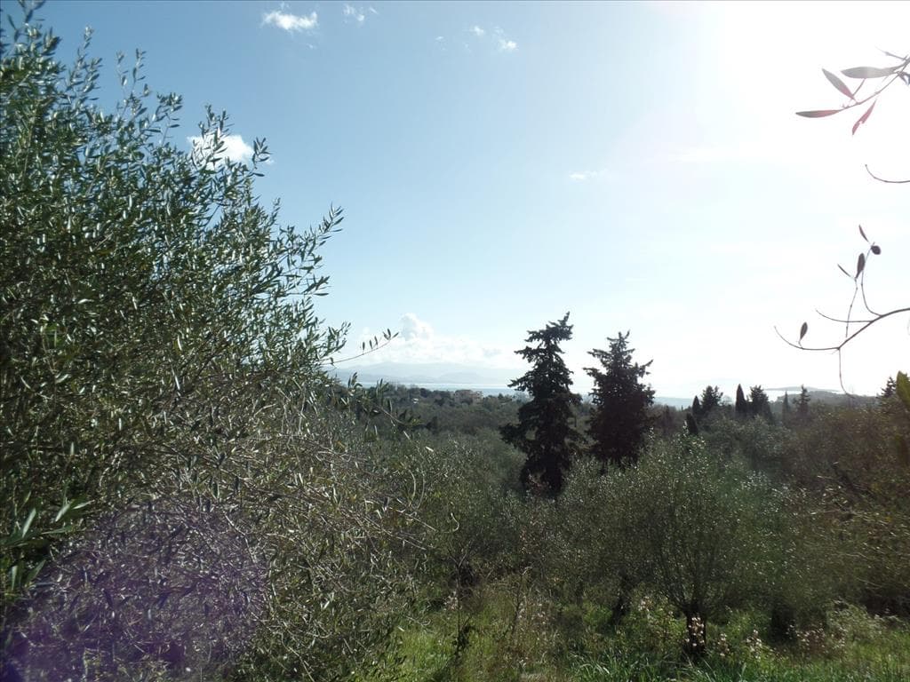 For Sale Land 4900 m² in Corfu