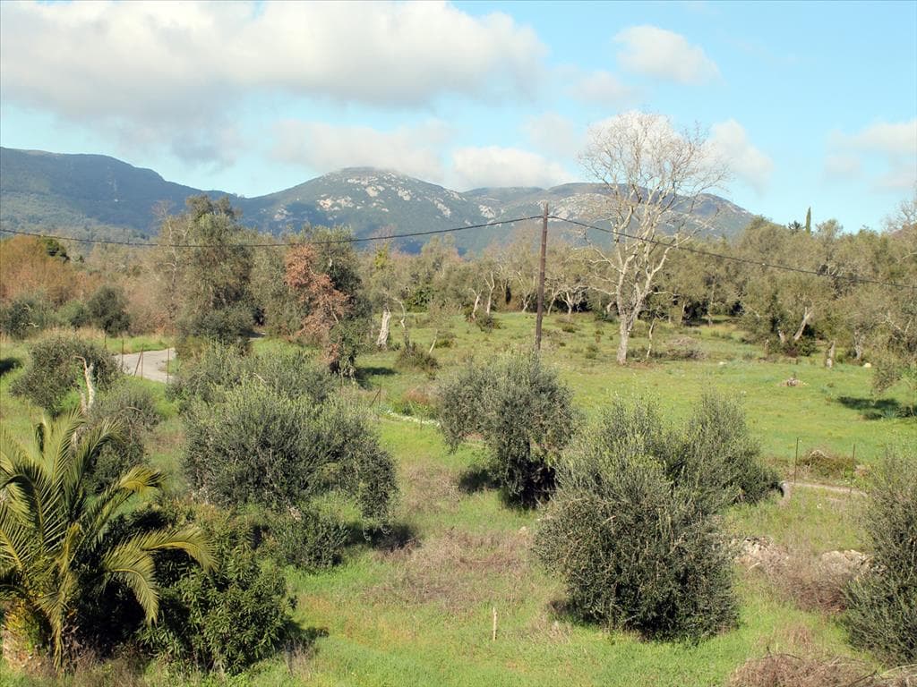 Plot of Land Measuring 6000 m² for Sale in Corfu