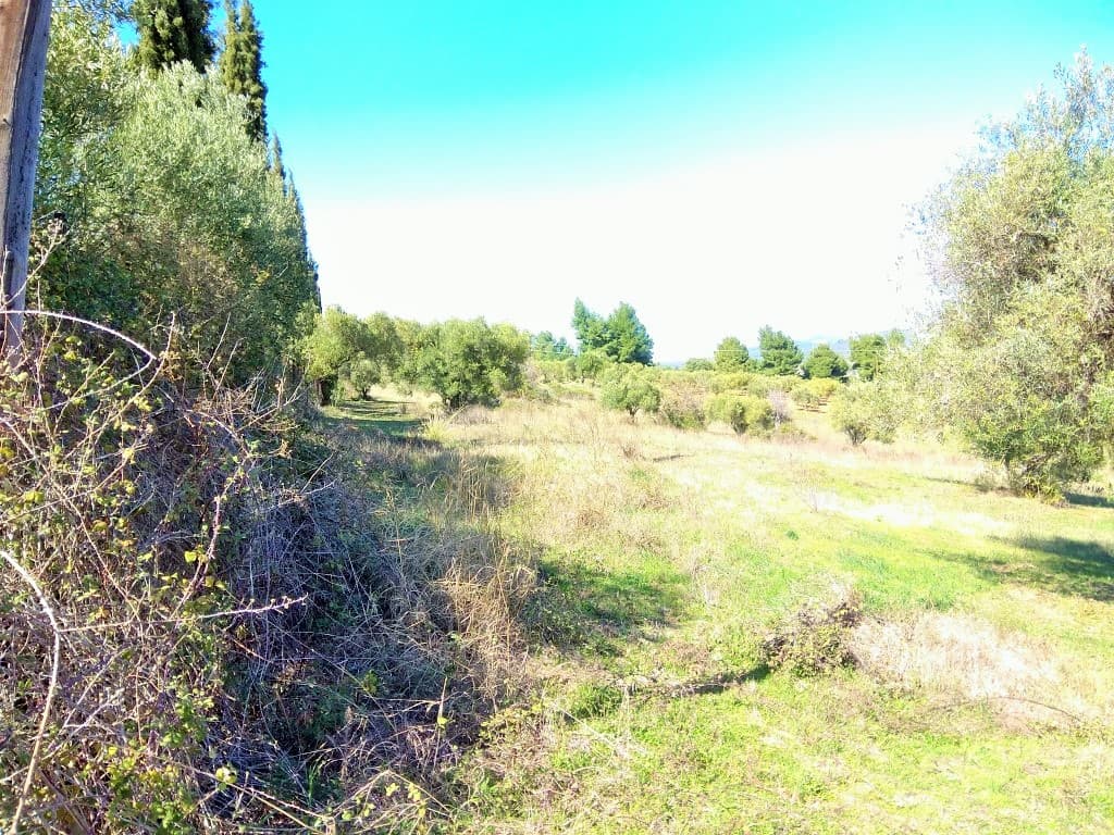 For Sale Land 5200 m² in Sithonia, Chalkidiki