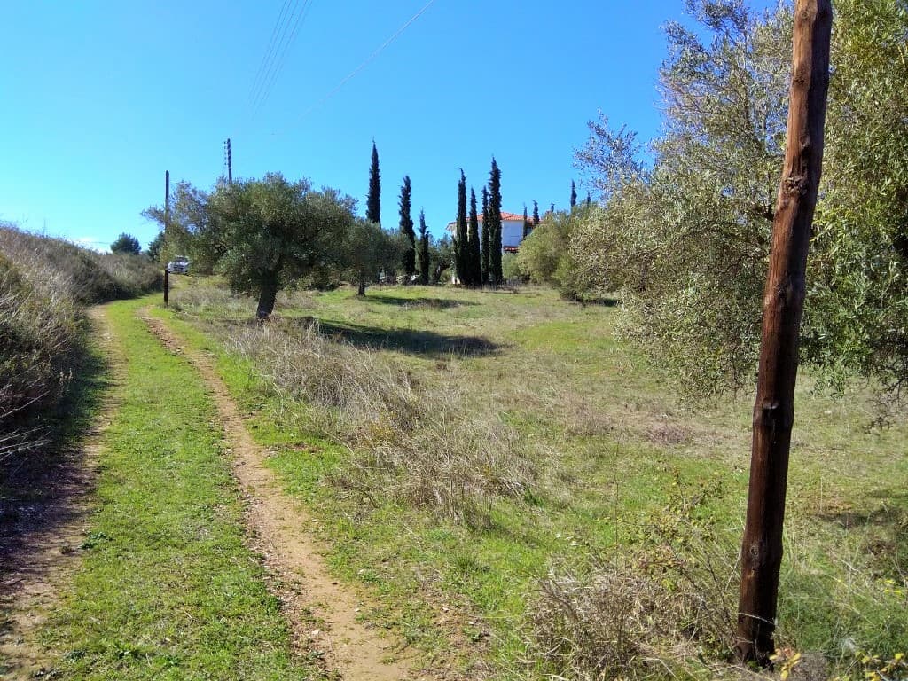 For Sale Land 1200 m² in Sithonia, Chalkidiki