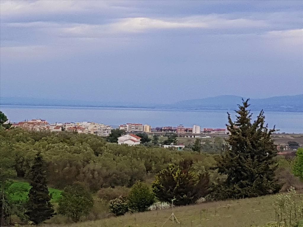 For Sale Land 12000 m² in the suburbs of Thessaloniki