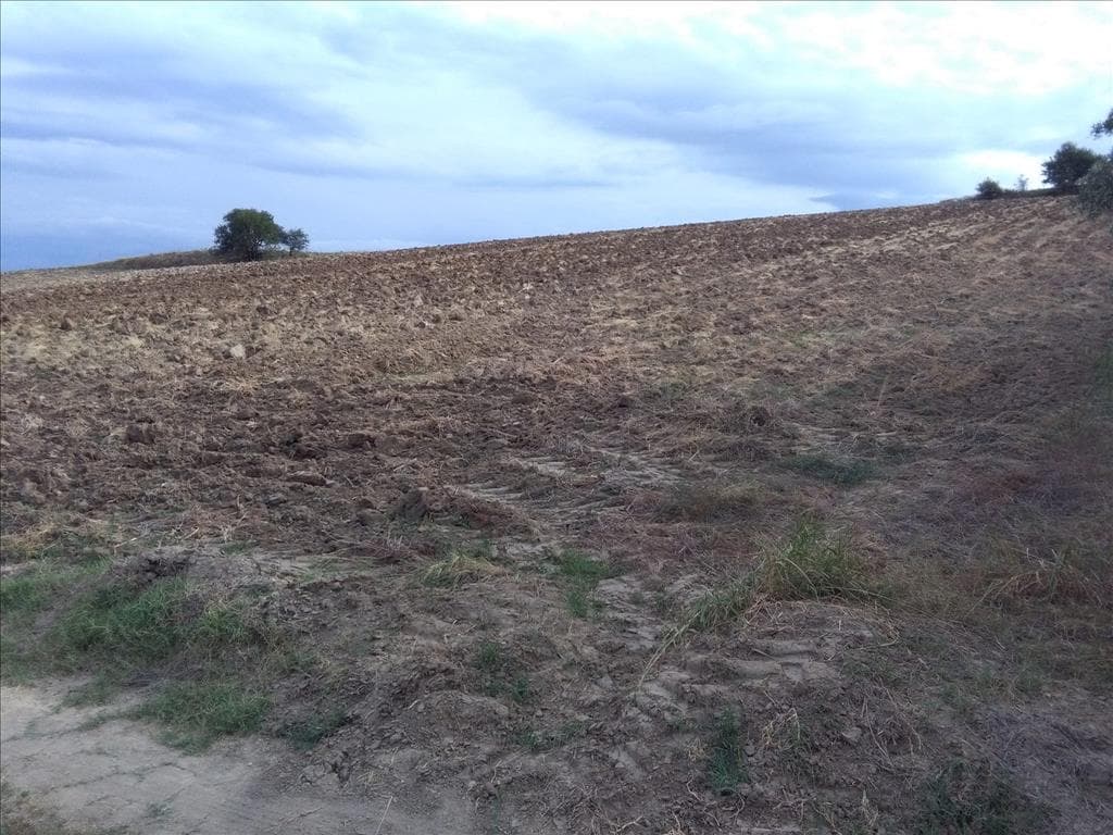 For Sale Land 16313 m² in the suburbs of Thessaloniki